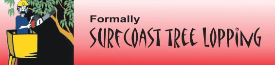 Formally Surf Coast Tree Lopping