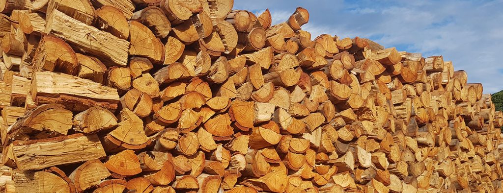 Firewood