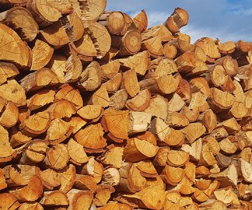 Firewood